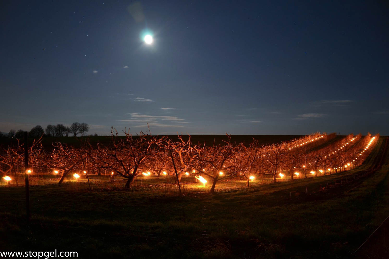 Anti-frost candle under a clear sky at night